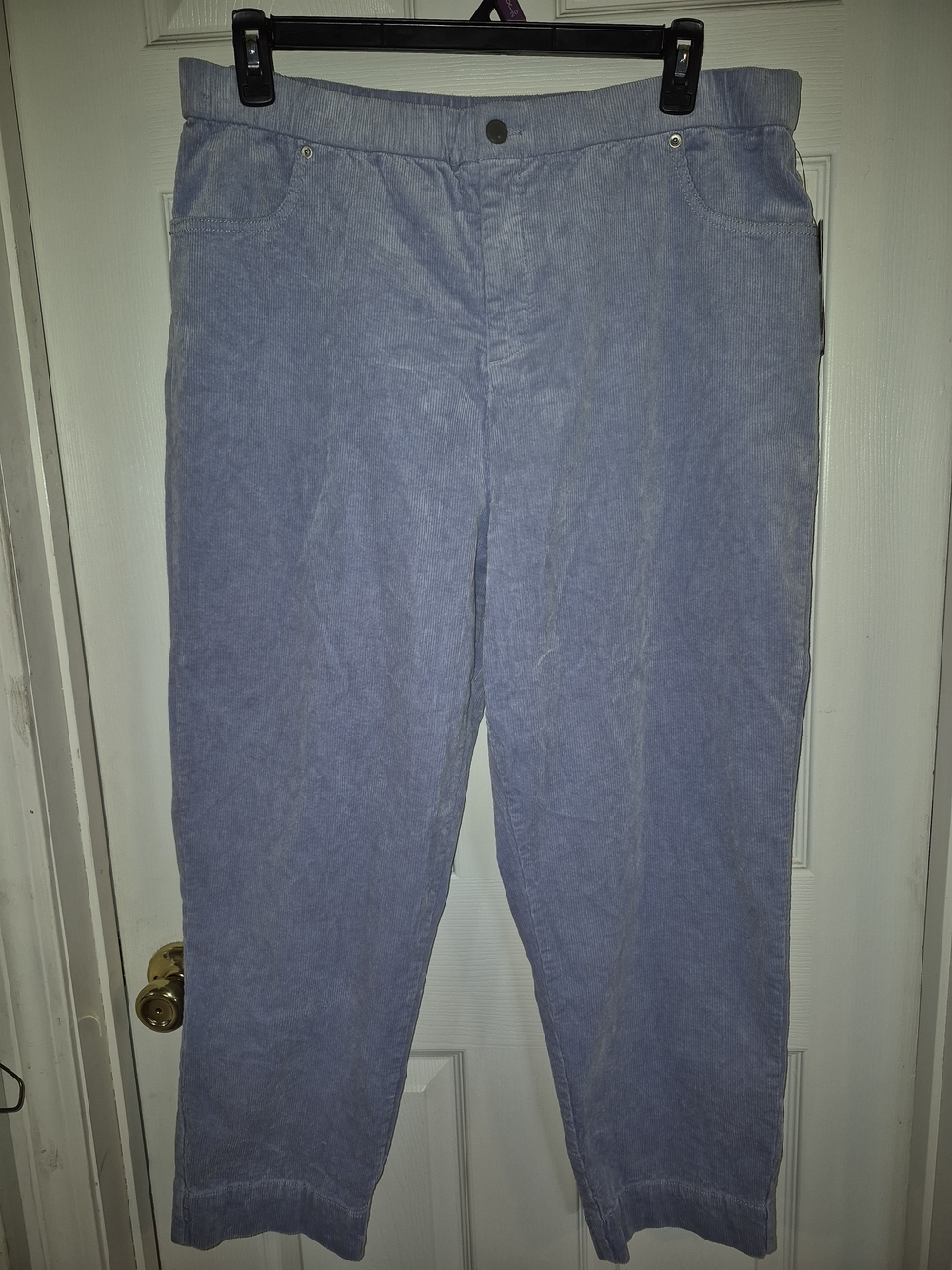 wild fable Straight Leg Courderoy Pants - Light Blue